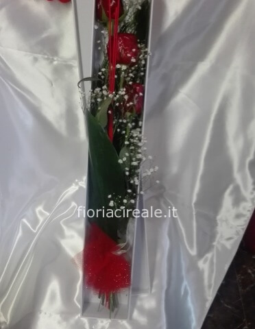 rosa rossa Red Naomi stelo lungo