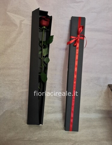 rose rosse in scatola