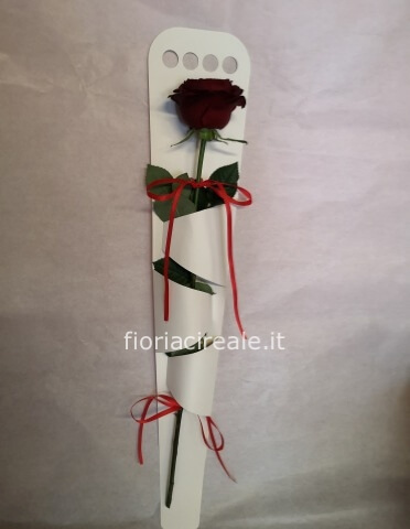 rose rosse cm 60 confezionate in cartoncino porta rose massimo 3 rose